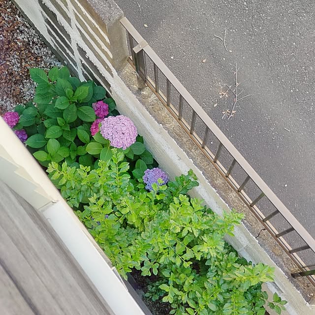 Maroさんの実例写真