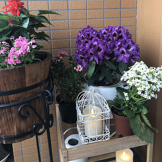 kafukaさんの実例写真