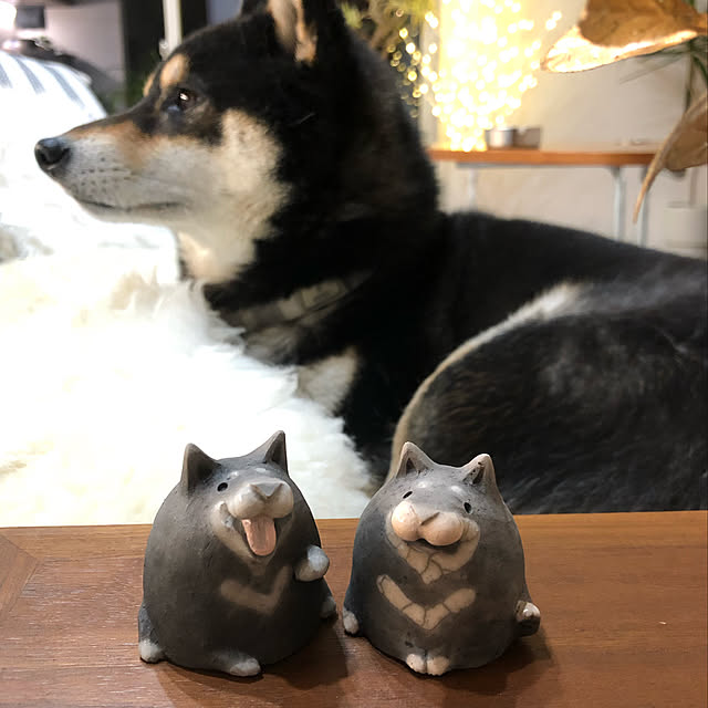 nuruiさんの実例写真