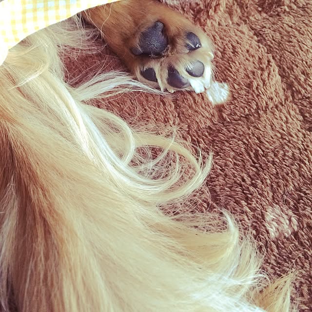 -Riley-mama.-さんの実例写真