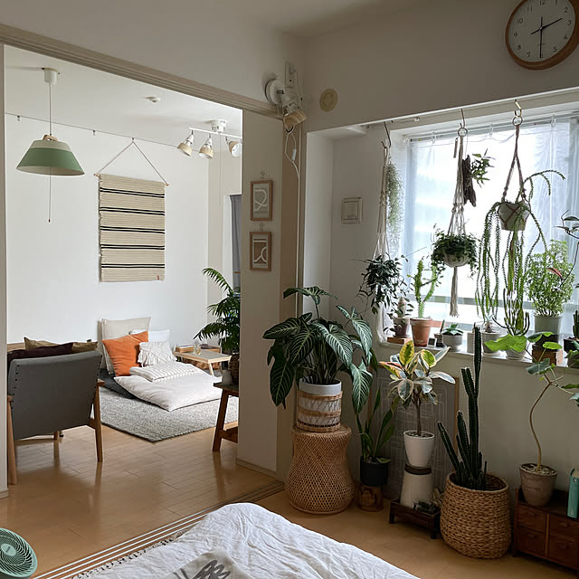 部屋全体のインテリア実例 - 2023-07-09 14:46:19
