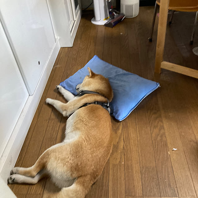 luckyさんの実例写真
