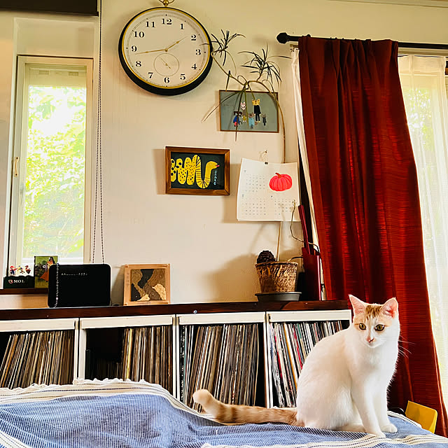 tomorinさんの部屋