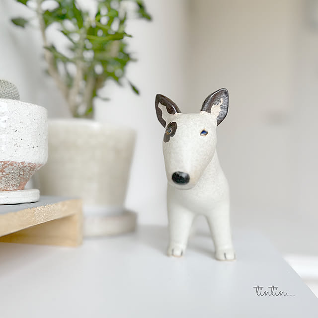 tintinさんの部屋