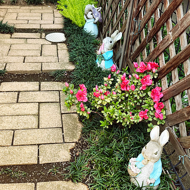 KYONさんの実例写真