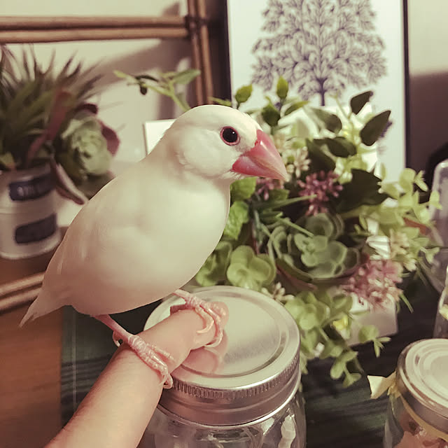 tammyさんの実例写真