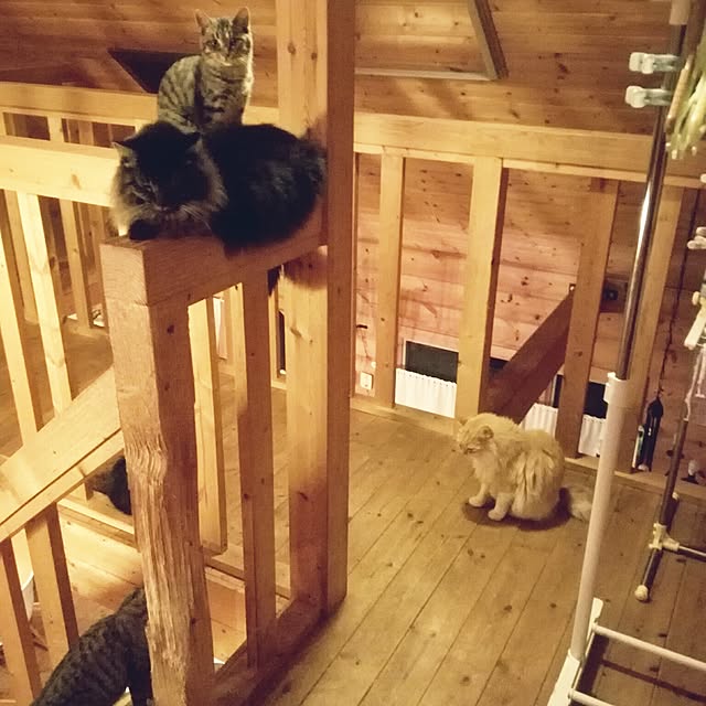 Maki-nekomamireさんの実例写真