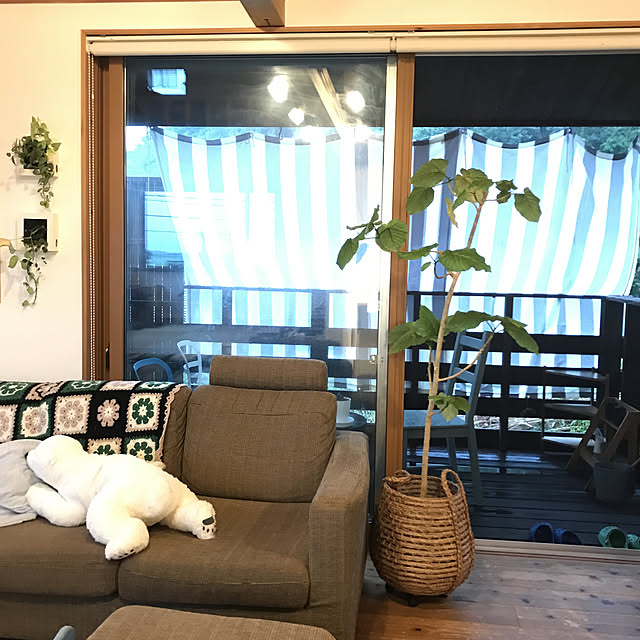 hachi1023さんの実例写真