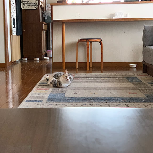 kami_haさんの実例写真