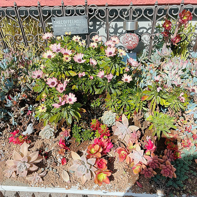 mukkuさんの部屋