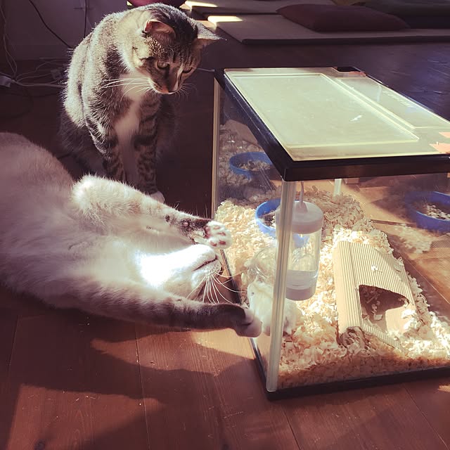 tsukiyuzuさんの実例写真