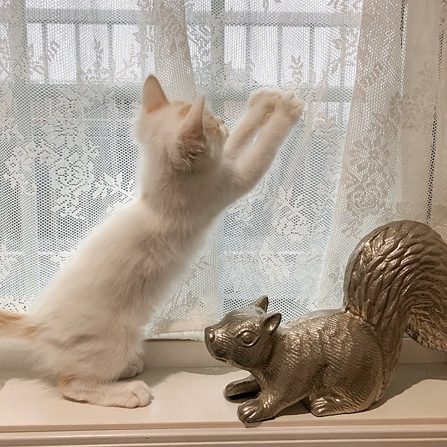 yuchiさんの実例写真