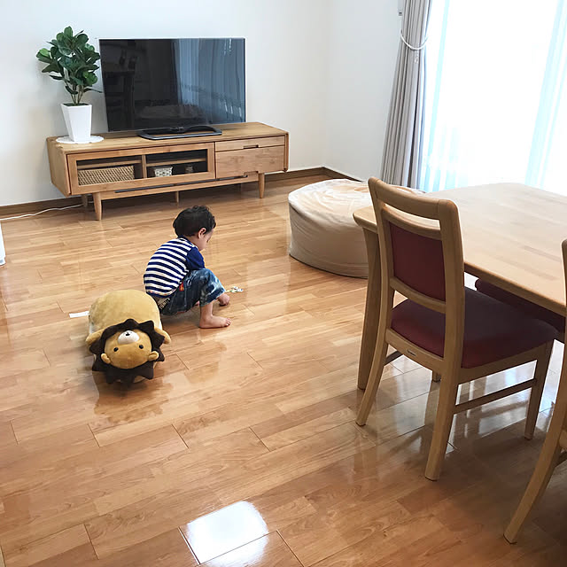 Risaさんの実例写真