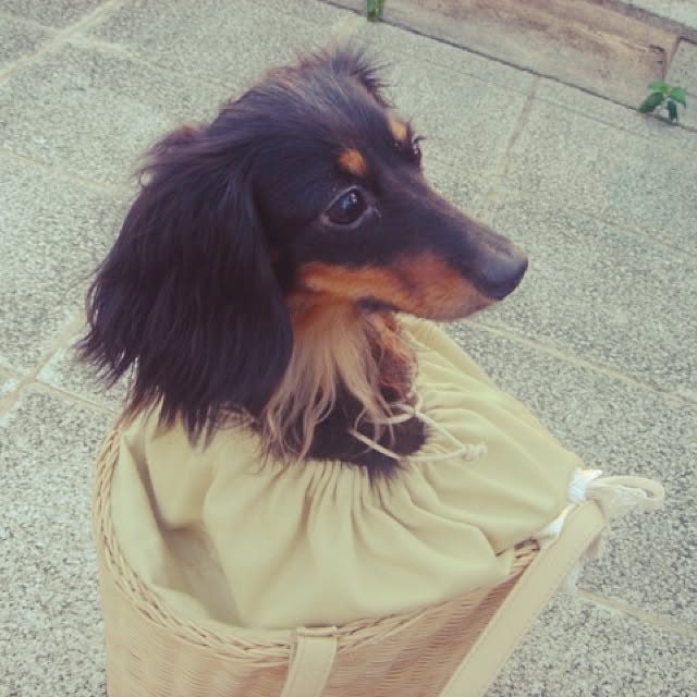 mucさんの実例写真