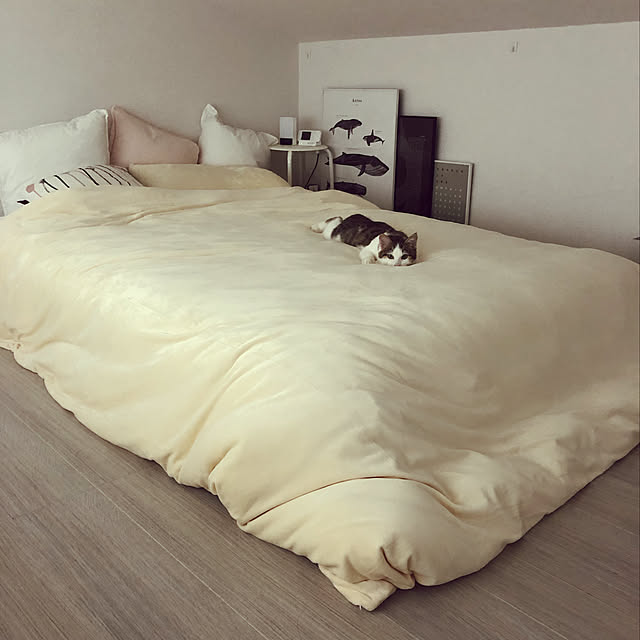 w_fox0713さんの実例写真