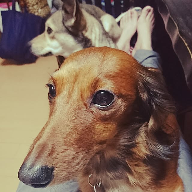 andさんの実例写真