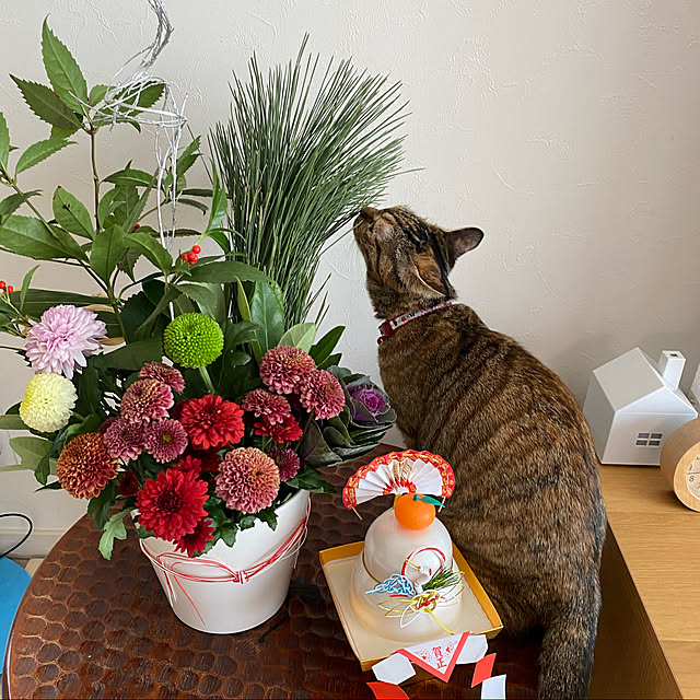 Kumiさんの実例写真