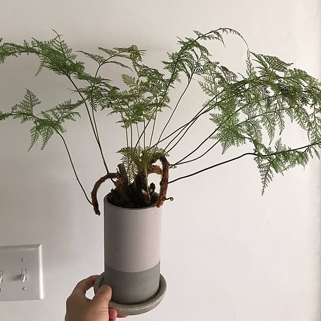 MiRiderさんの実例写真