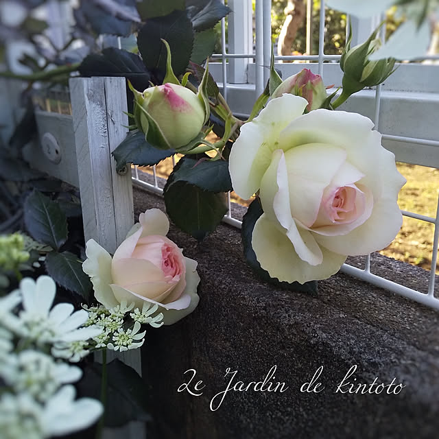 kintoto07さんの実例写真