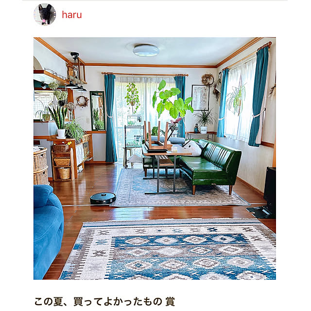 haruさんの実例写真