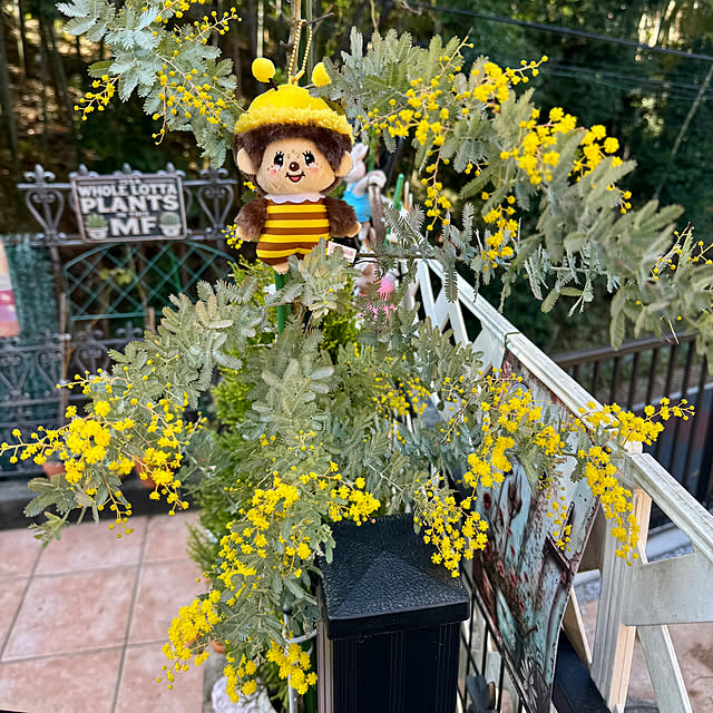 miyuさんの実例写真