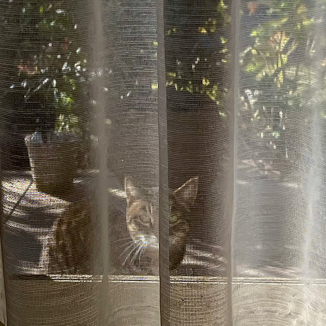 nobikoさんの部屋