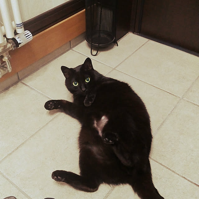 Tomomiさんの実例写真