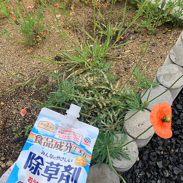 h_home.hさんの部屋