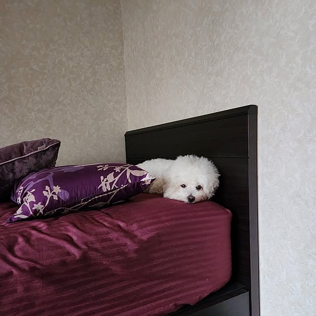 takoさんの部屋