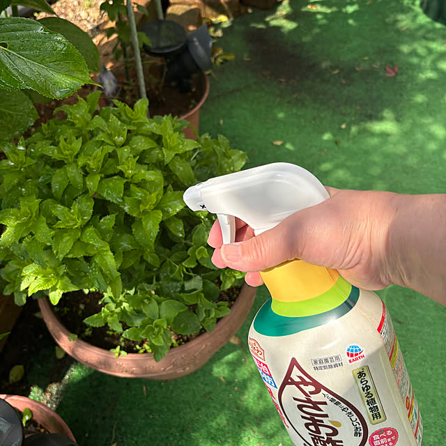 nannoさんの実例写真