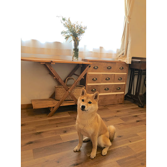 Mariさんの実例写真