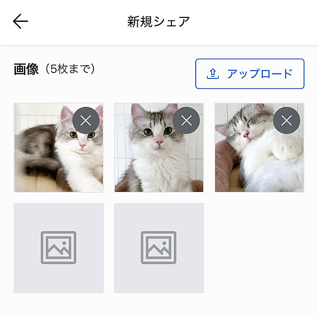 cotoriさんの部屋
