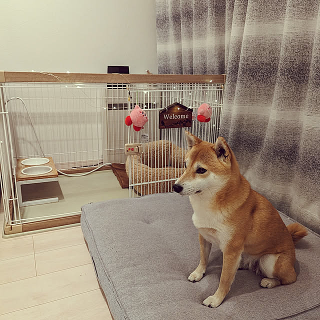 mchelloさんの実例写真