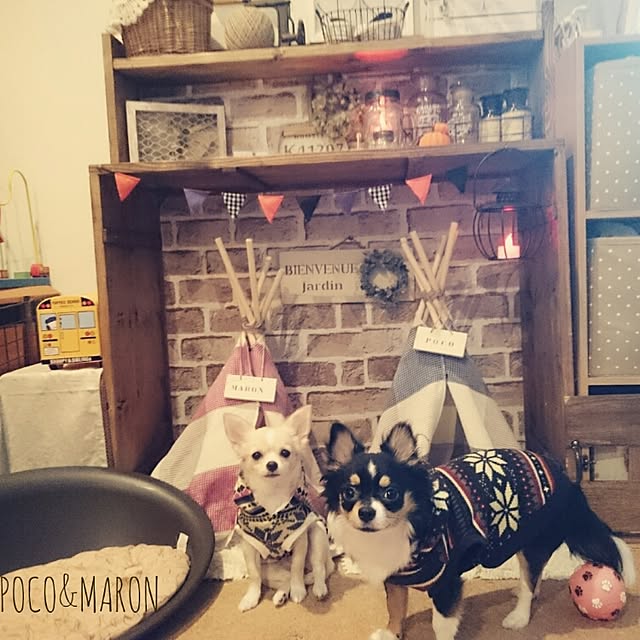 Mokaさんの実例写真