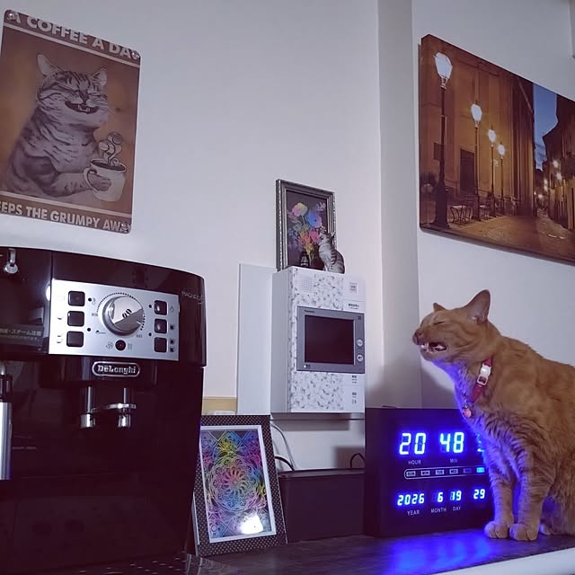 NOAHさんの部屋