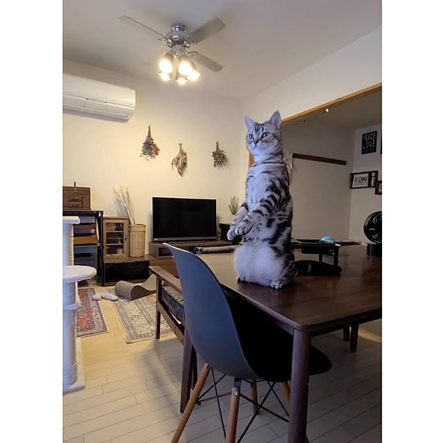 lovepeaceさんの部屋