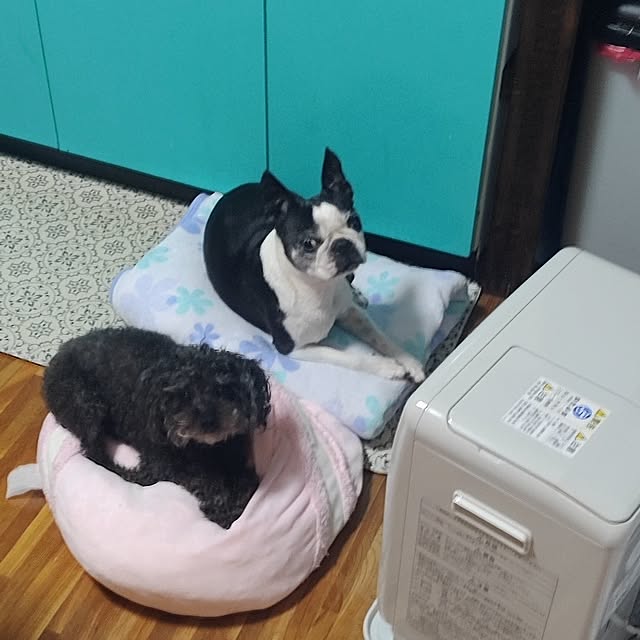boston5757さんの部屋