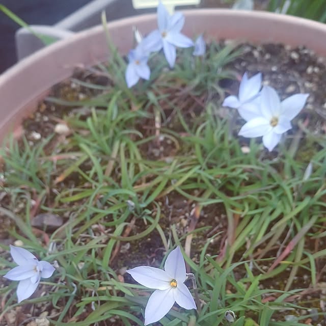 hiro.904さんの実例写真