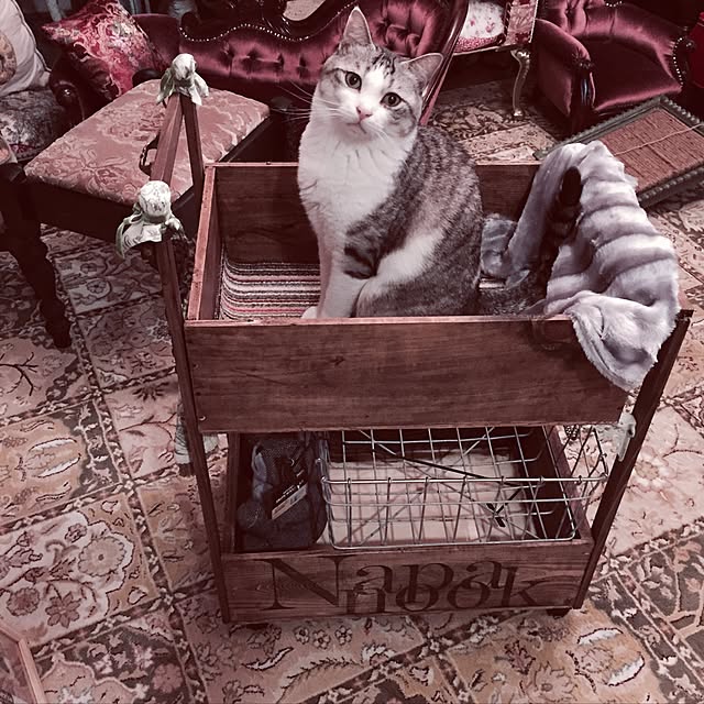 emmyyさんの実例写真