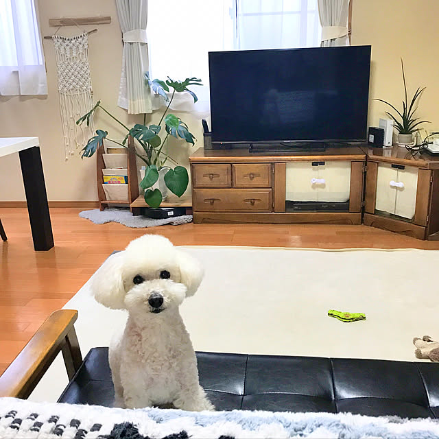ssさんの実例写真