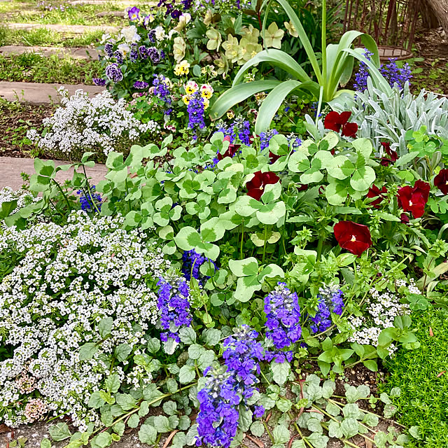 green.green.greenさんの部屋