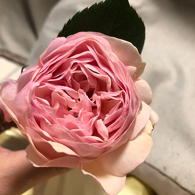 kyoko1124koさんの部屋
