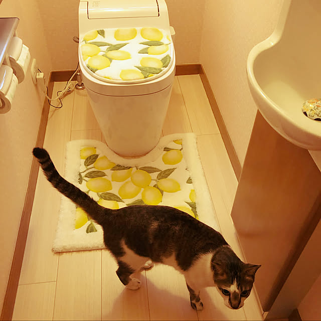 haruminさんの実例写真