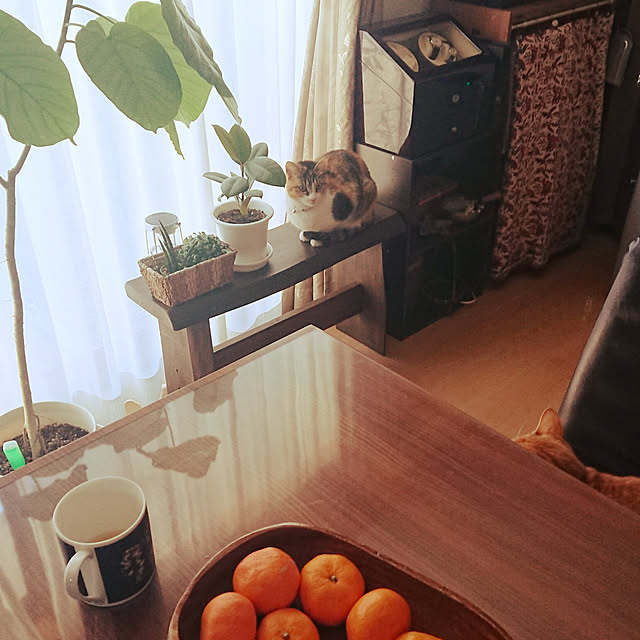 akiさんの実例写真