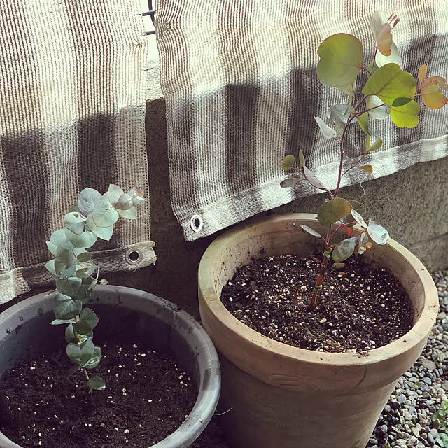 akhmさんの実例写真