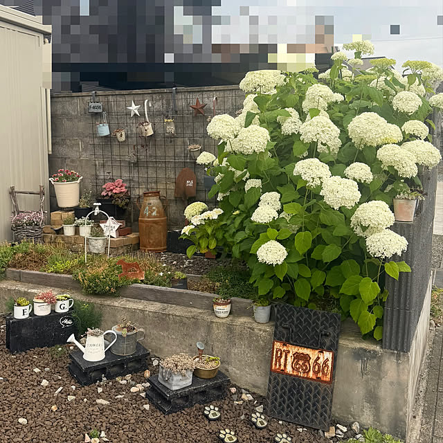 ikt.tamaさんの実例写真