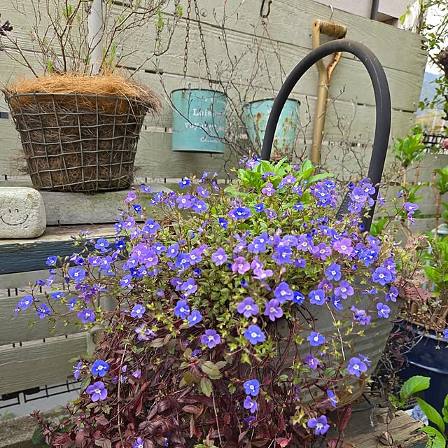 min_nimさんの部屋