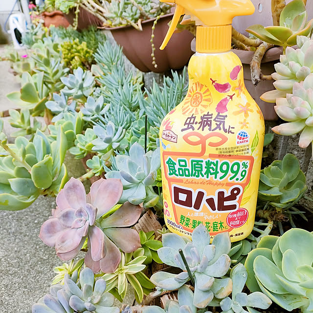 VERANDARJUNさんの実例写真