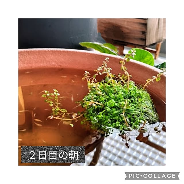 mi-saさんの部屋