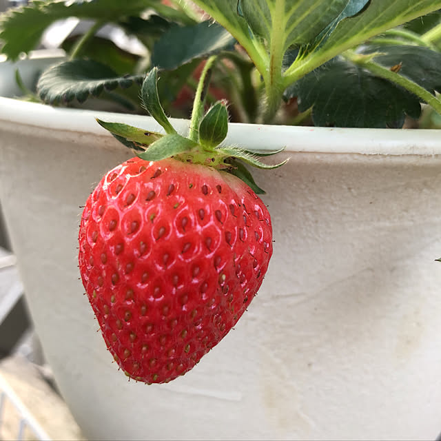 nakabaさんの実例写真